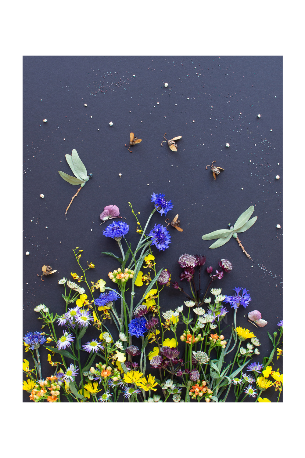 "Among the Flowers" Flower Print