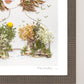 "Bridge to Peace" Flower Print