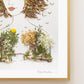 "Bridge to Peace" Flower Print