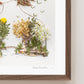"Bridge to Peace" Flower Print