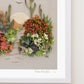 "Desert Dreaming" Flower Print