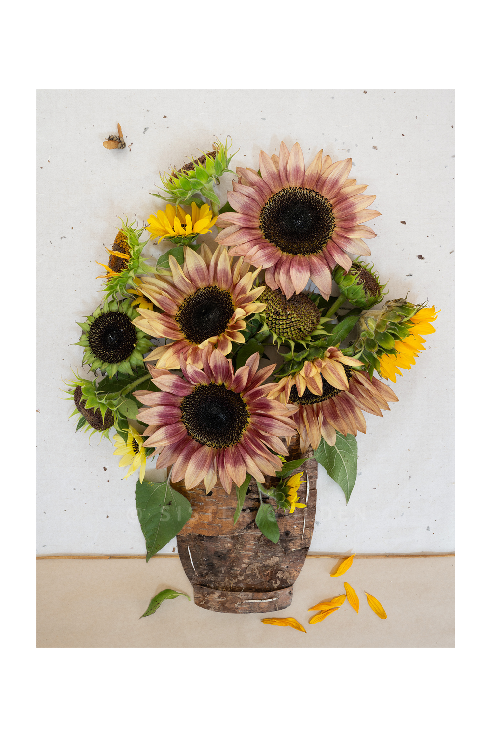 "Face the Sun" Flower Print