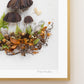 "Forest Floor" Flower Print