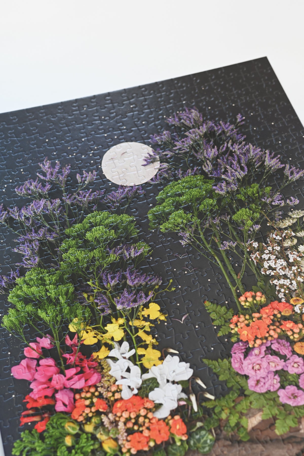 Jigsaw Puzzle: Living in Color