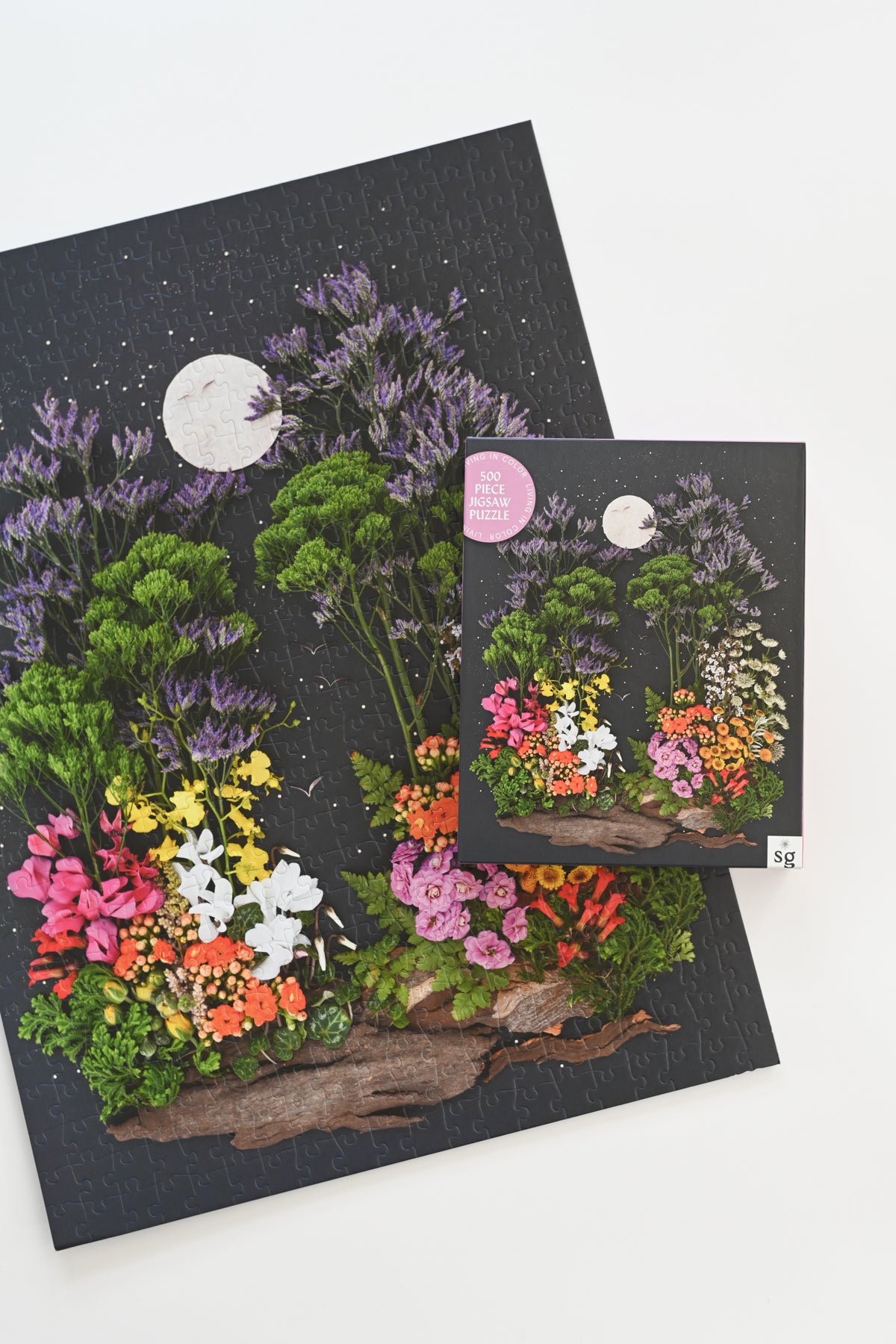 Jigsaw Puzzle: Living in Color