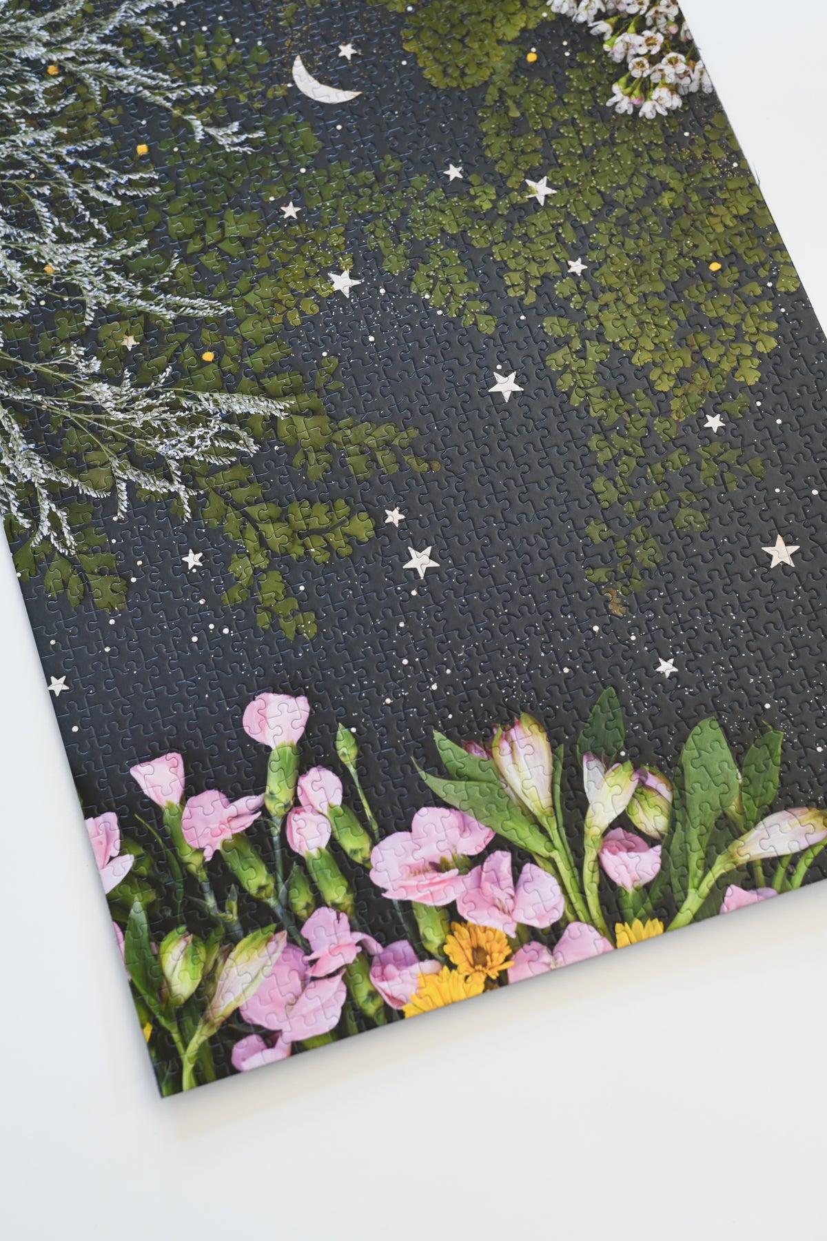 Jigsaw Puzzle: Upon a Star