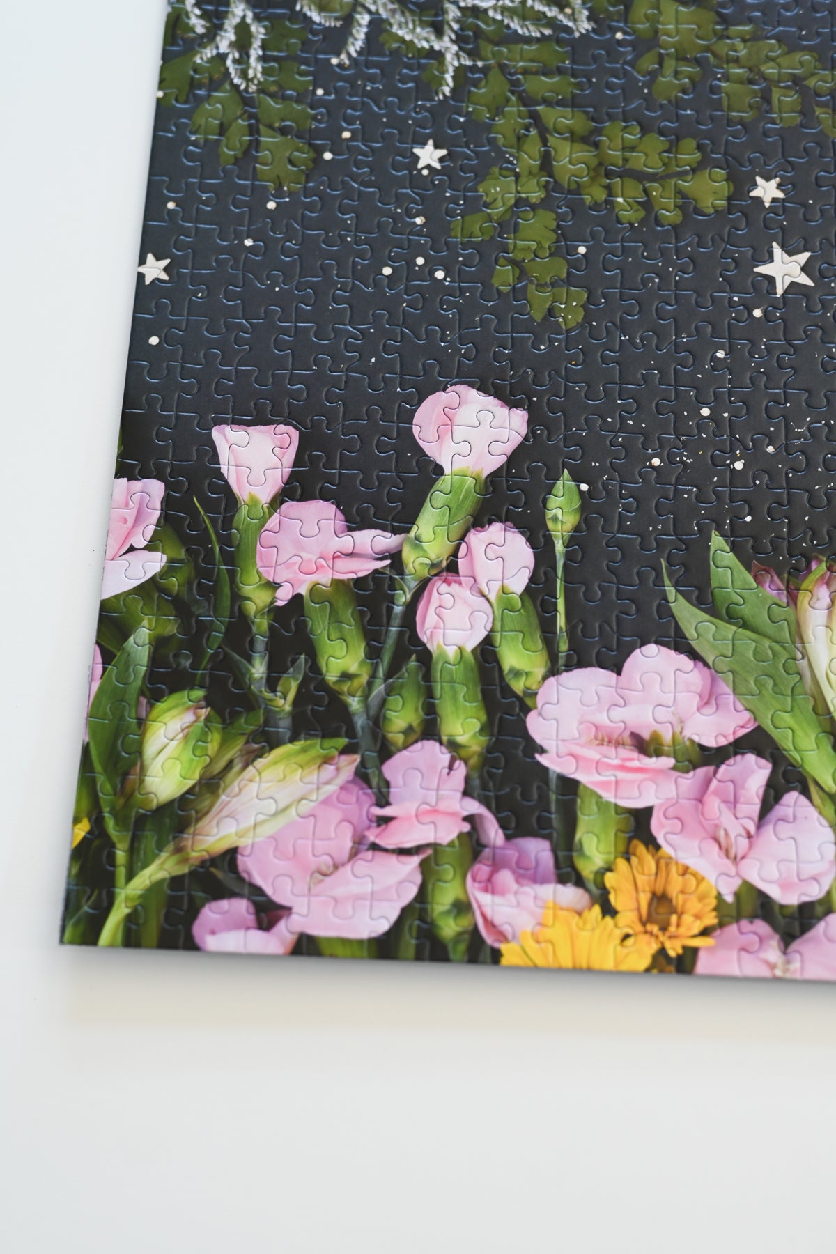 Jigsaw Puzzle: Upon a Star