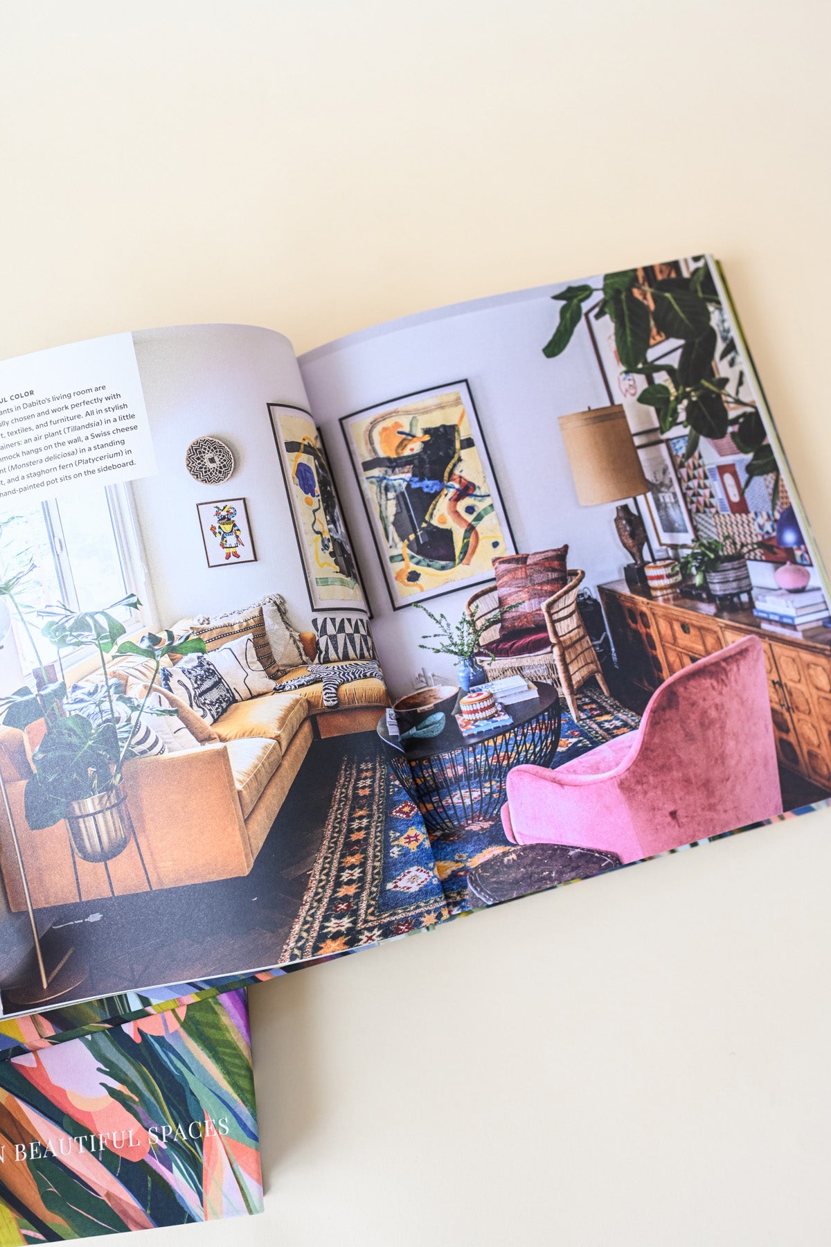 Wild Interiors