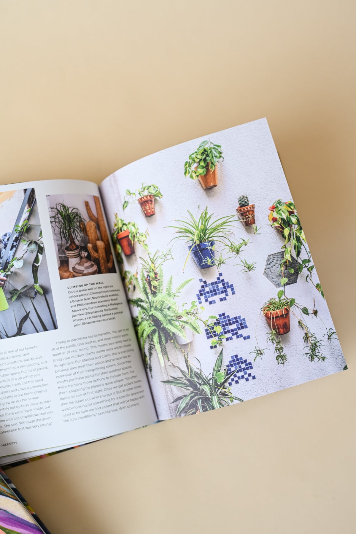 Wild Interiors