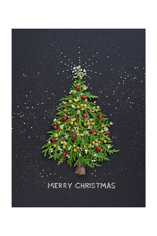"Merry Christmas" Flower Print