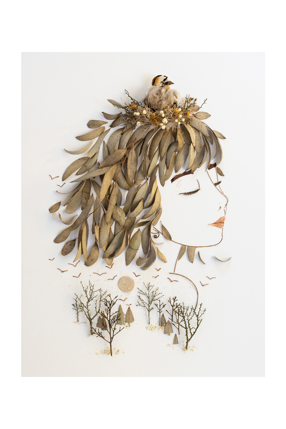 "Moon Bird" Flower Print