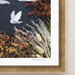 "Night Owl" Flower Print