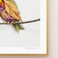 "Perched" Flower Print