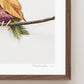 "Perched" Flower Print