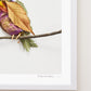 "Perched" Flower Print