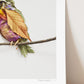"Perched" Flower Print