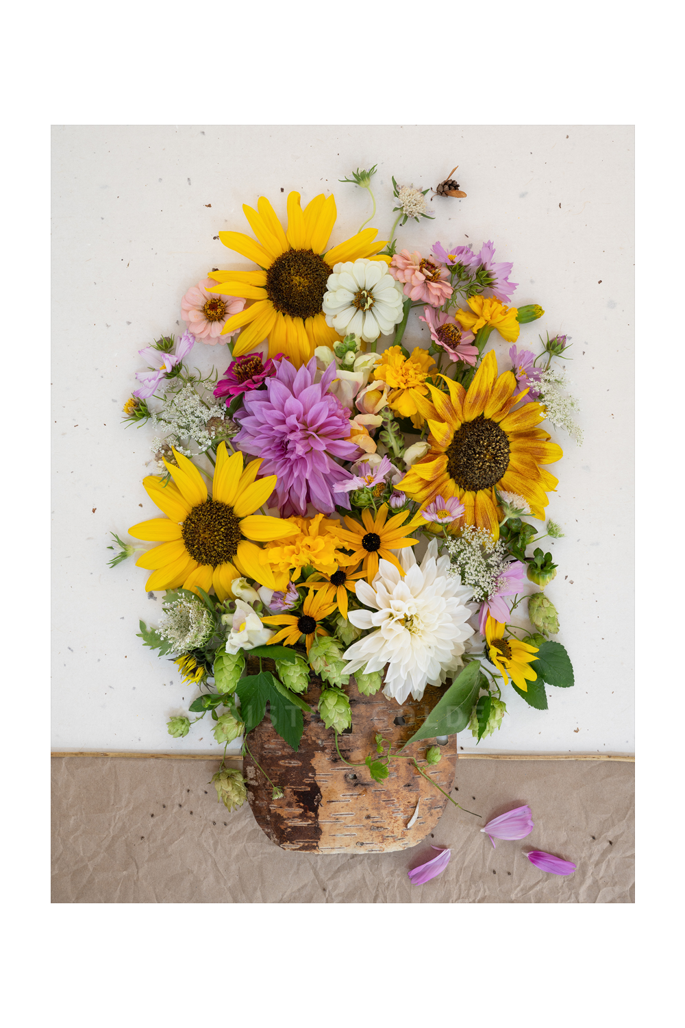 "Pocket of Sunshine" Flower Print