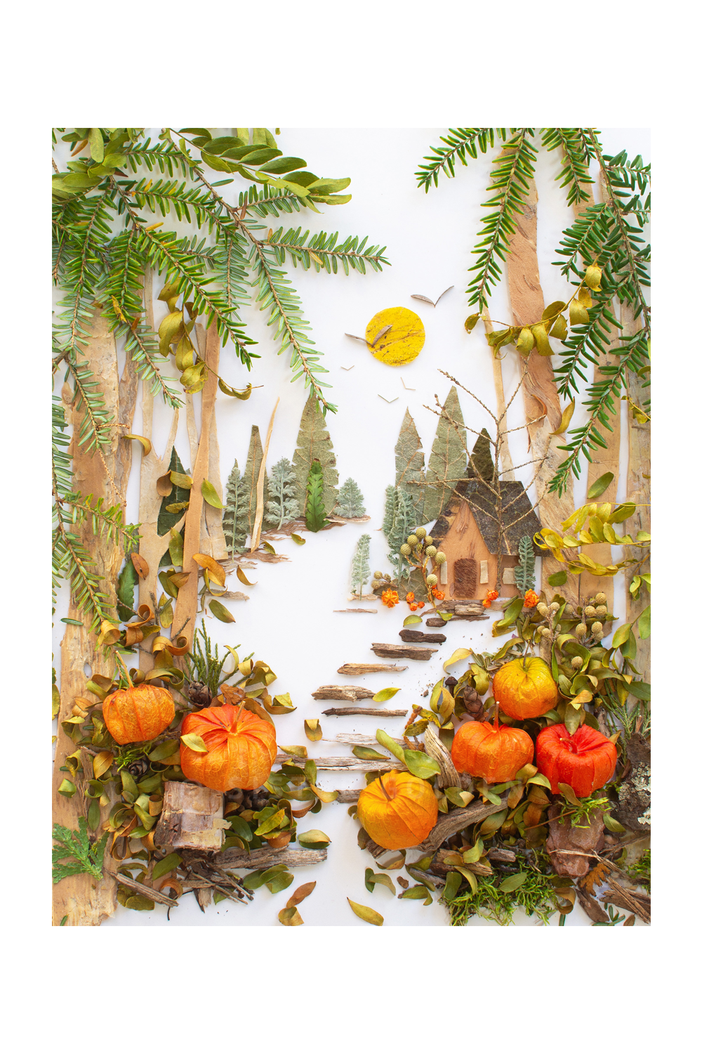 "Pumpkin Patch" Flower Print