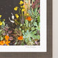 "Tropical Nights" Flower Print