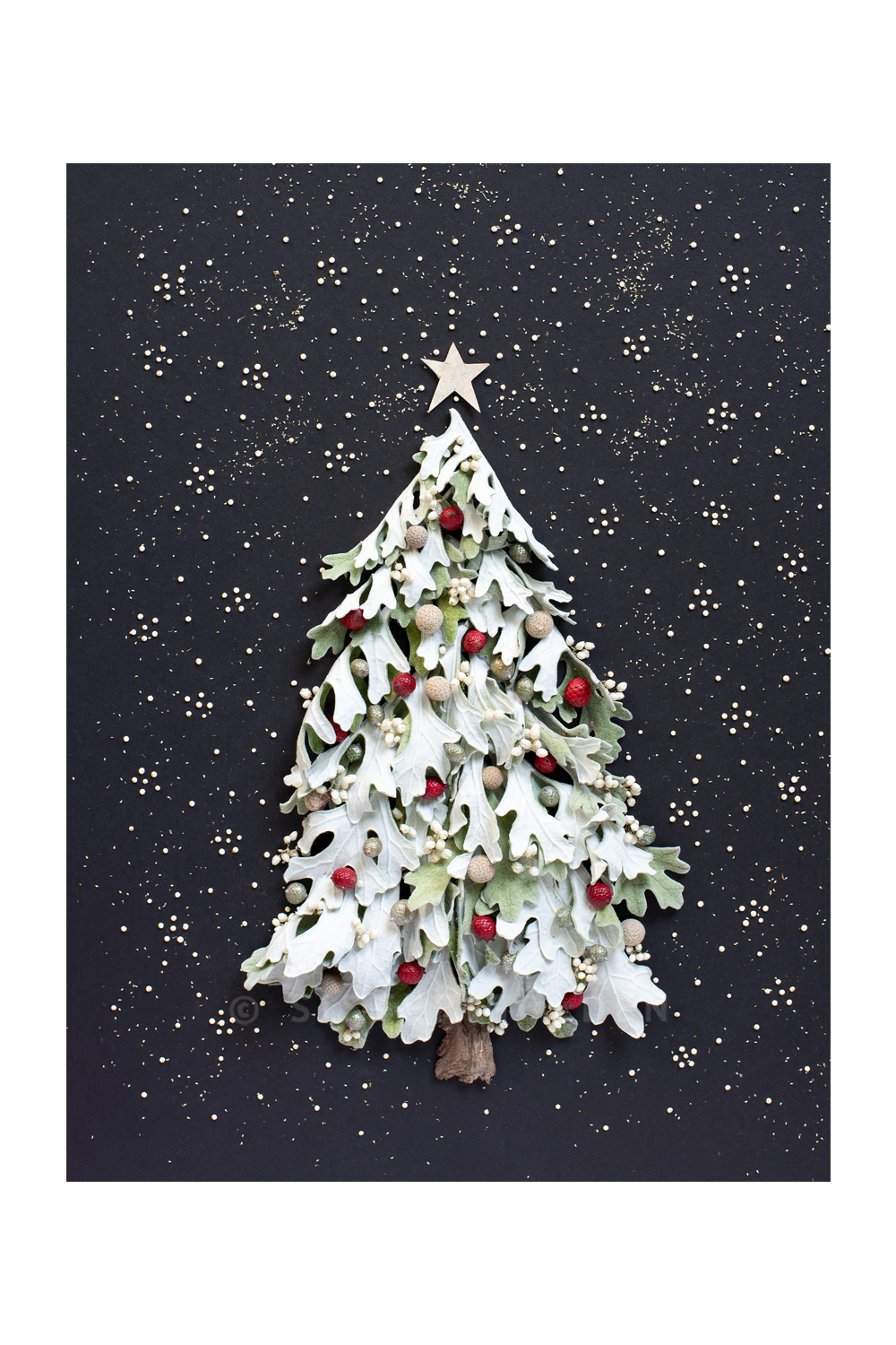 "Twinkle Twinkle" Flower Print