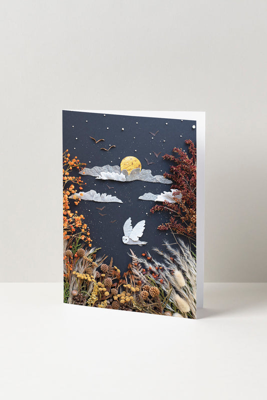 "Night Owl" Greeting Card