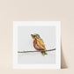 "Perched" Flower Print - Sister Golden