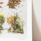 "Bridge to Peace" Flower Print
