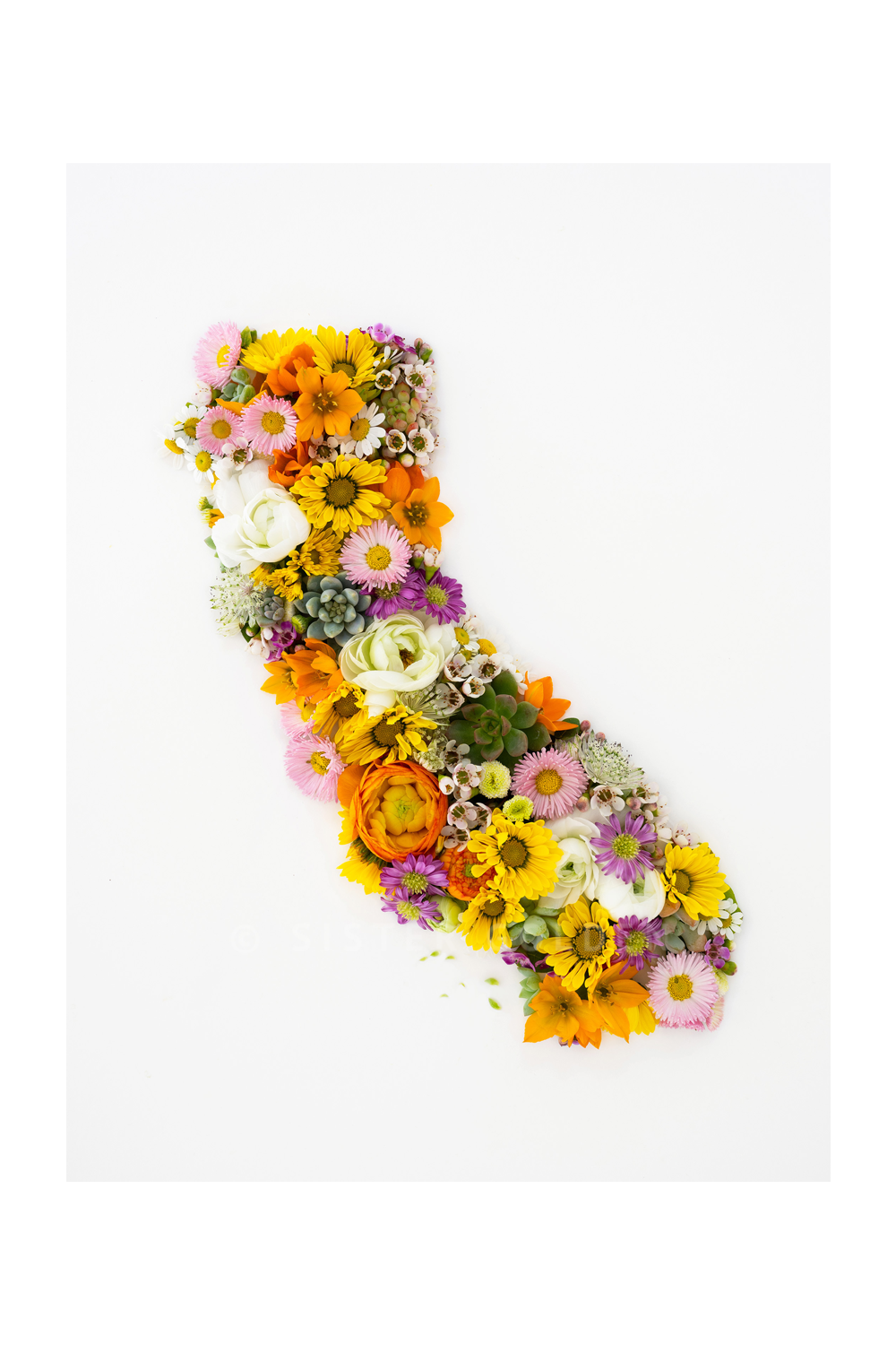 "California" Flower Print