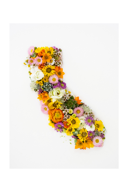 "California" Flower Print