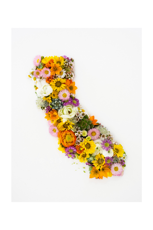 "California" Flower Print