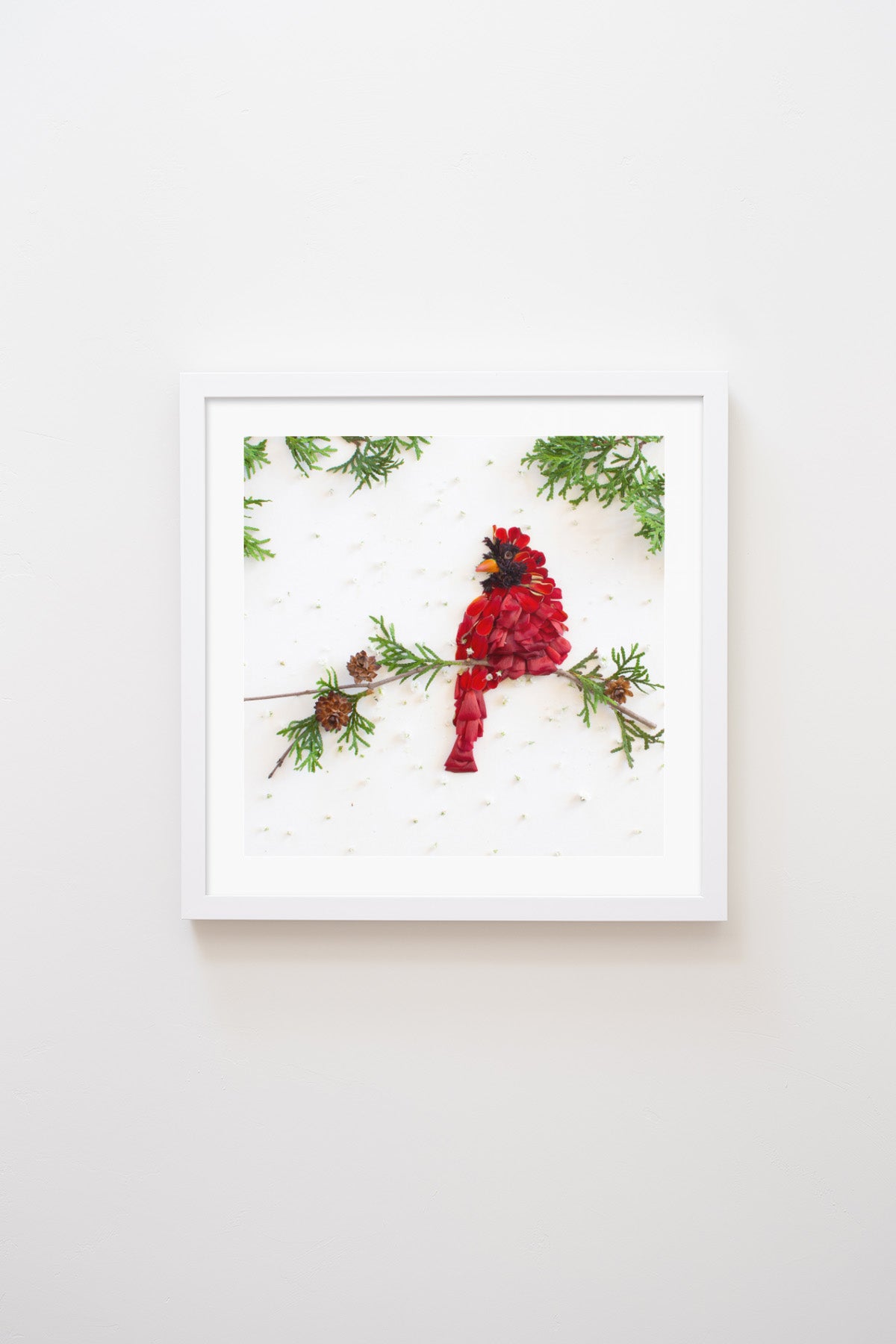 "Cardinal" Flower Print