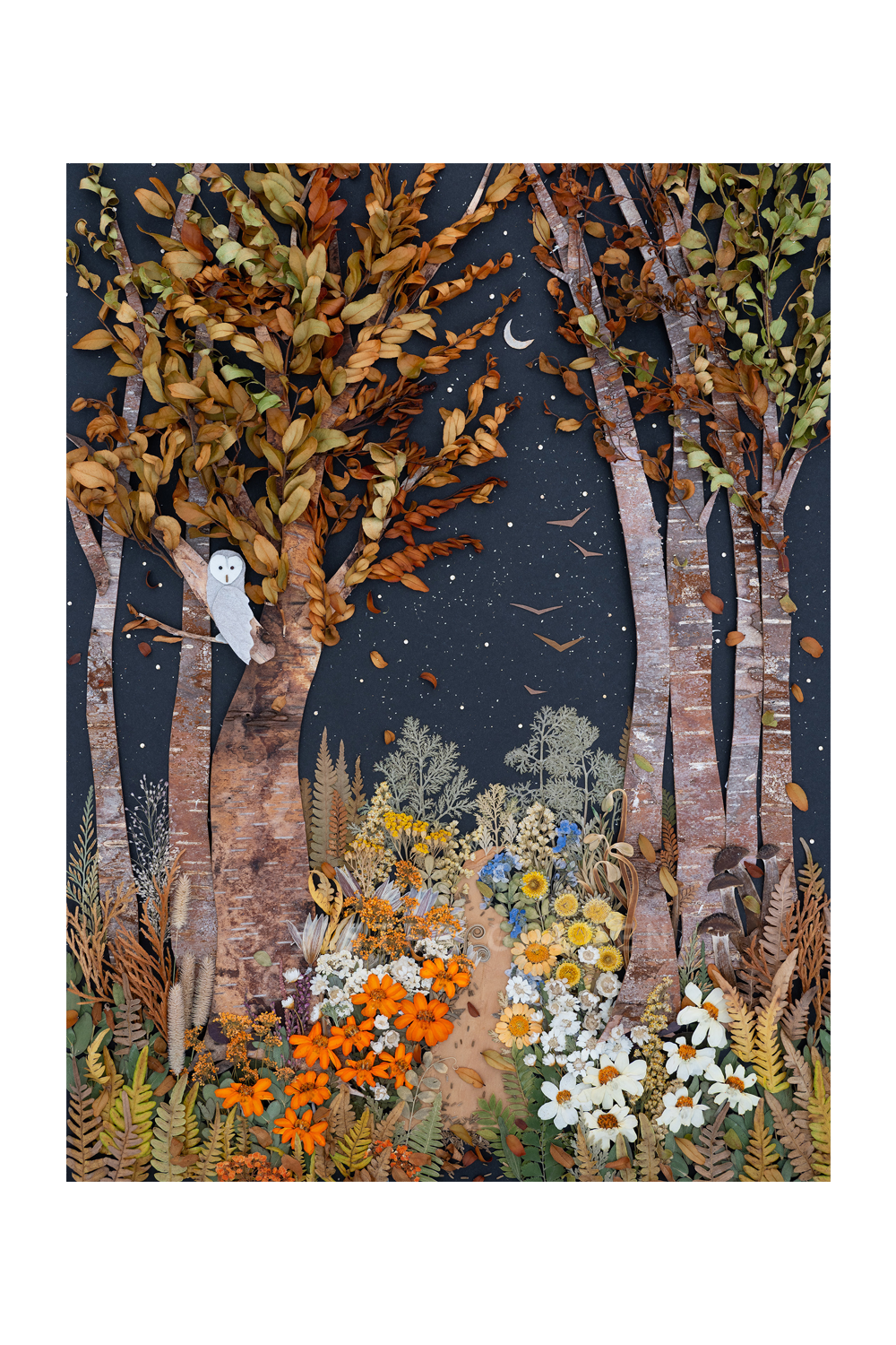 "Changing Seasons" Flower Print
