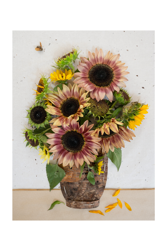 "Face the Sun" Flower Print