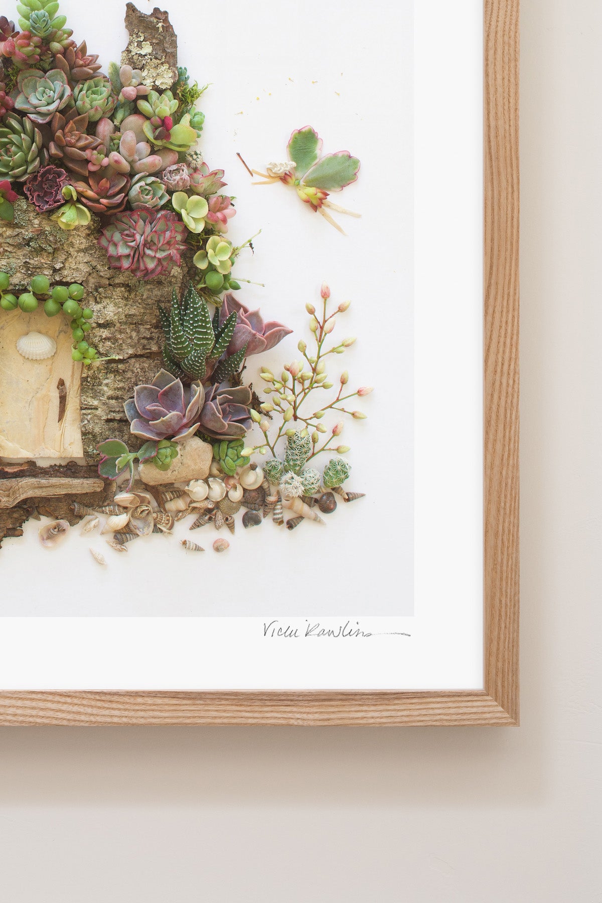 fairyblooms succulents Fairy Blooms Flower Print 10x10 / Unframed / Yes
