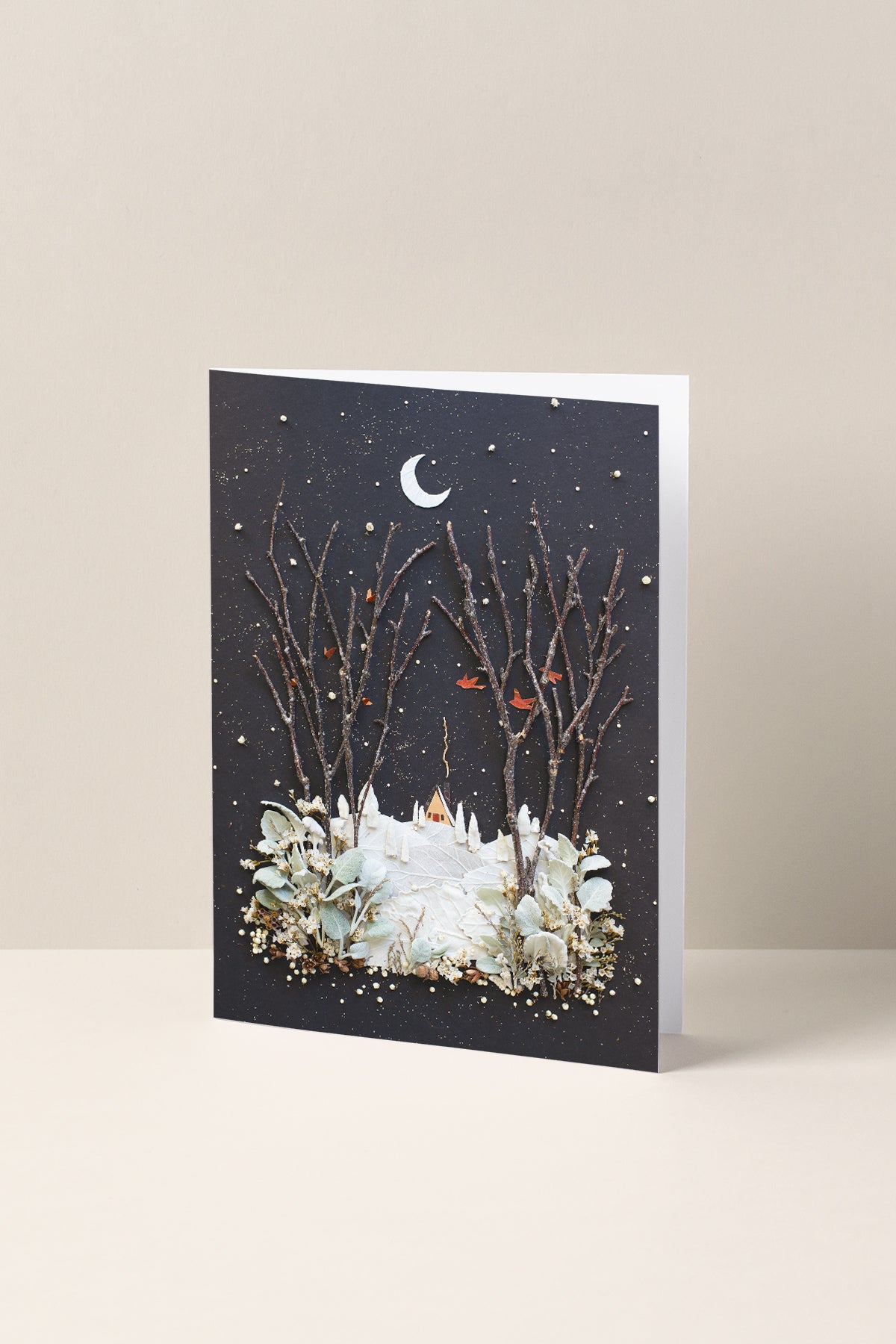 Holiday 12-Card Boxed Set
