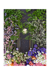 Sister Golden | "Flower Moon" Flower Print