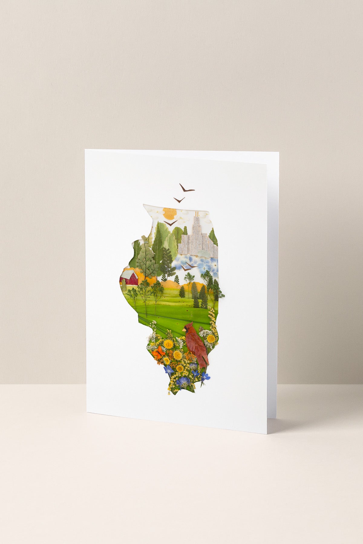"Illinois" Greeting Card