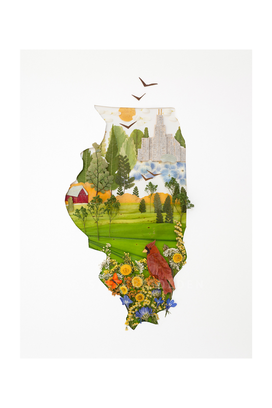 "Illinois" Flower Print