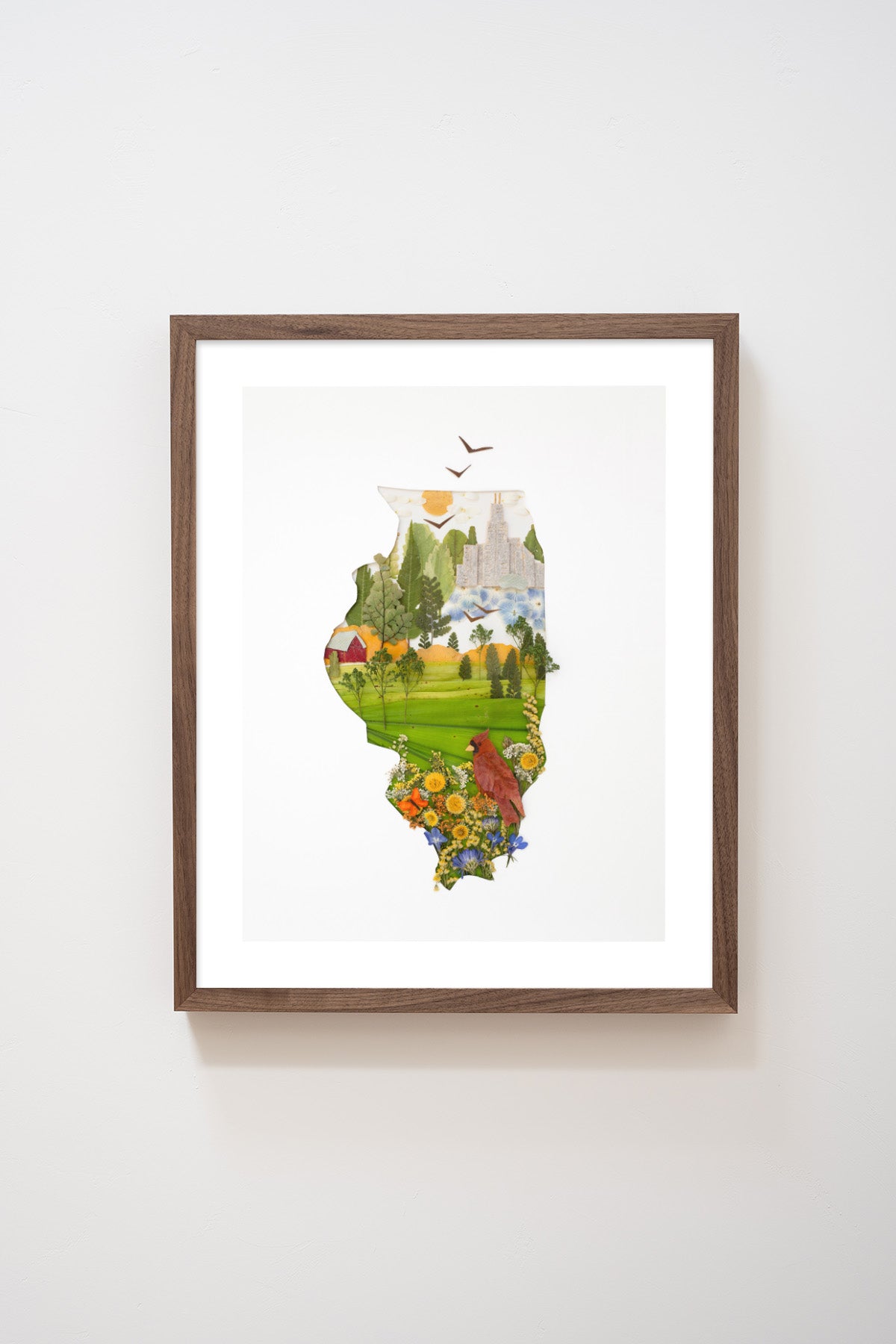 "Illinois" Flower Print