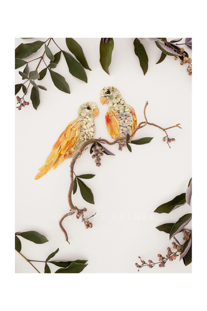 "It Takes Two" Flower Print