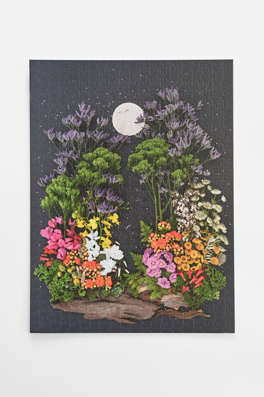 Jigsaw Puzzle: Living in Color
