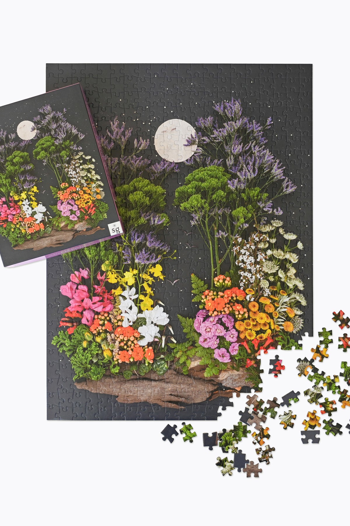 Jigsaw Puzzle: Living in Color