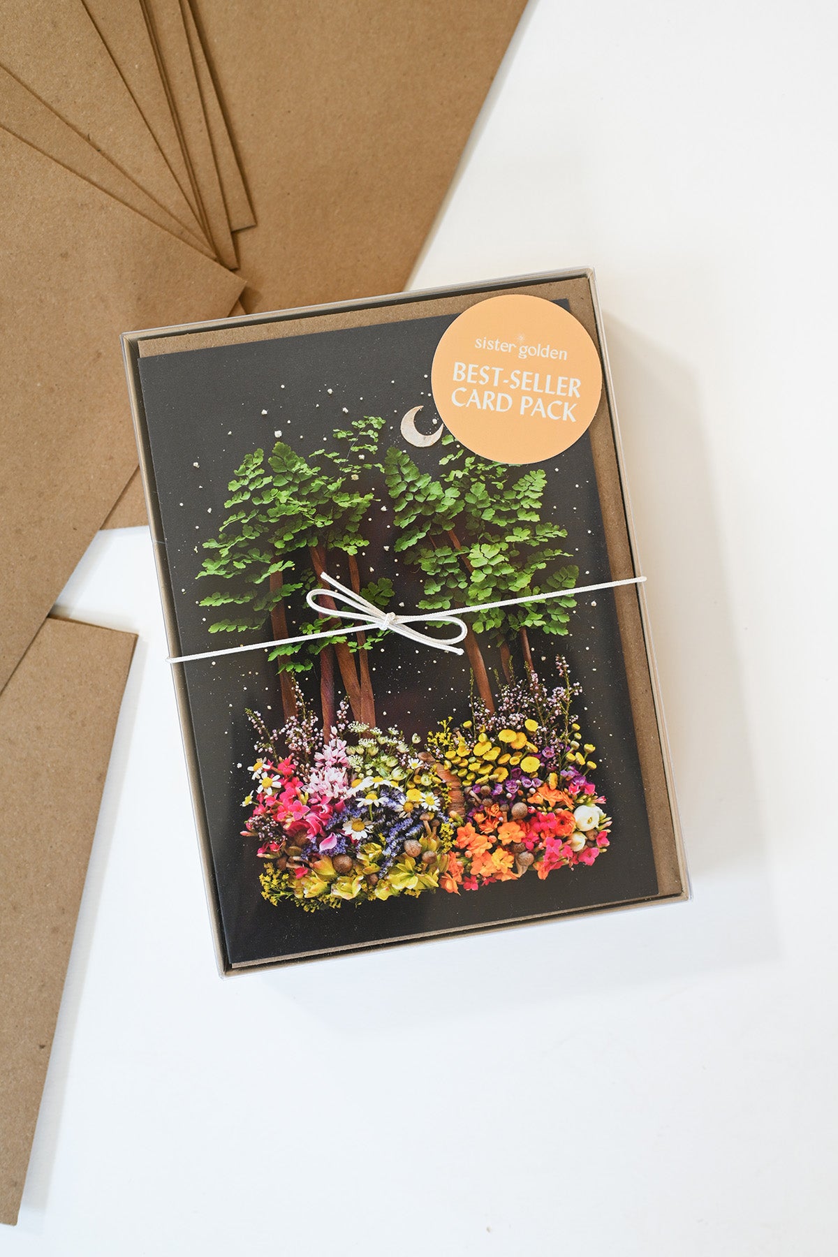Best Seller 12-Card Boxed Set