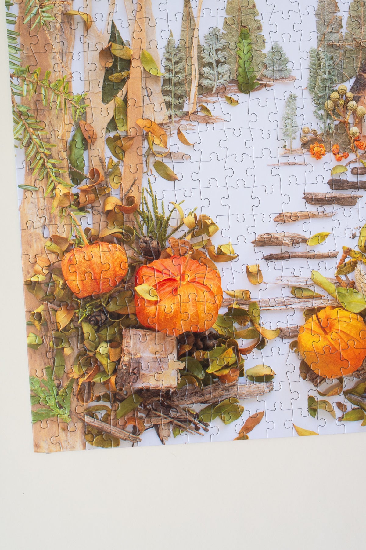 Jigsaw Puzzle: Pumpkin Patch