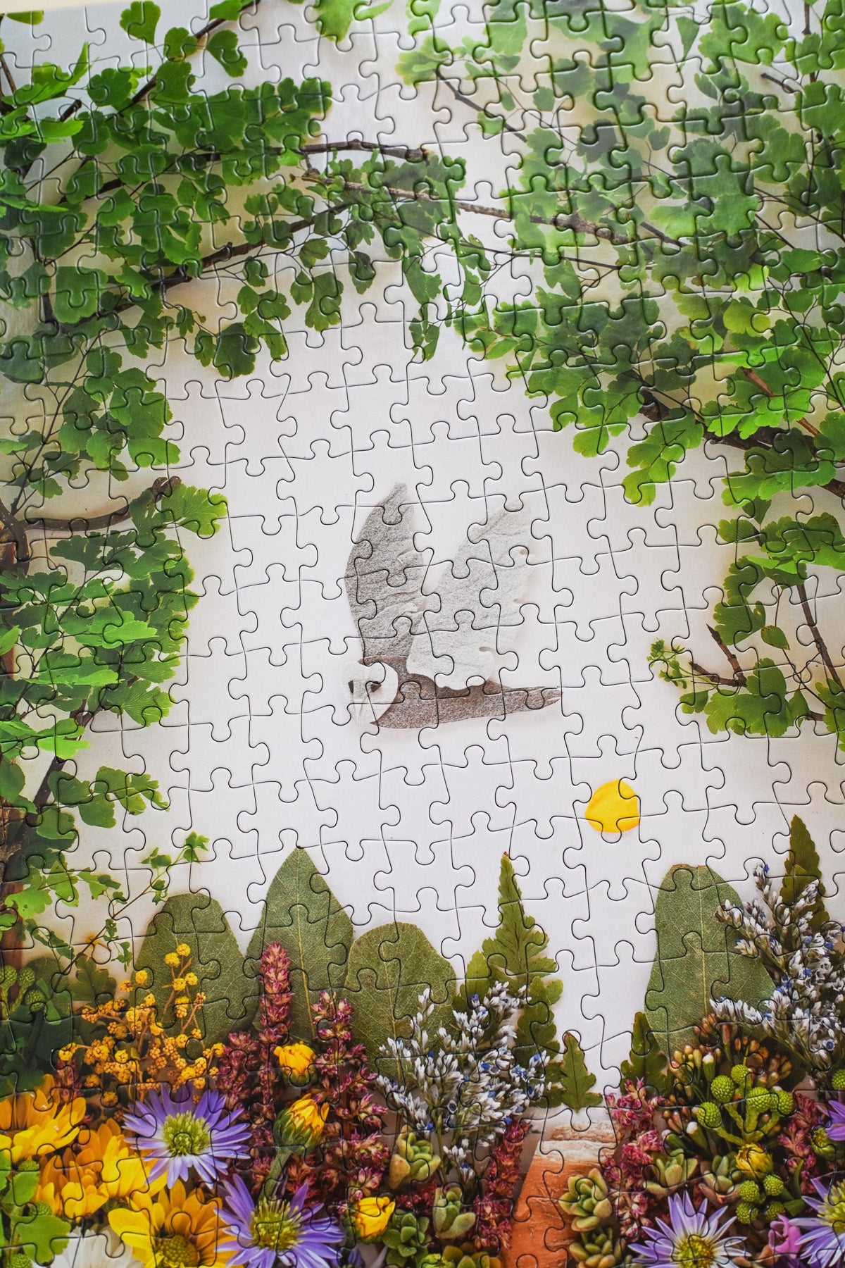 Jigsaw Puzzle: Free to Fly