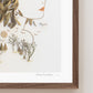 "Moon Bird" Flower Print