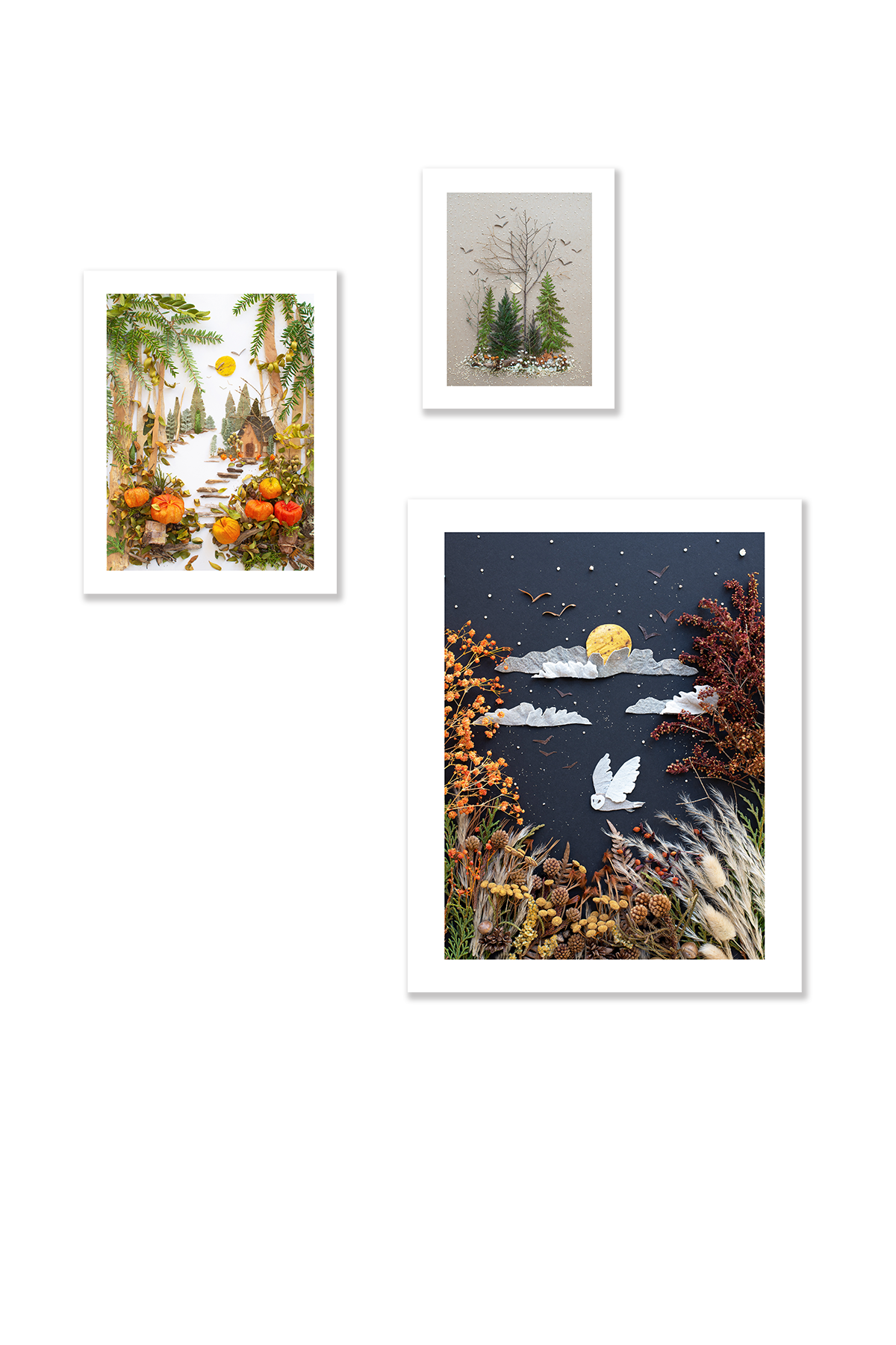 "Night Owl" Unframed Print Set