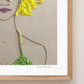 "Peace Out" Flower Print