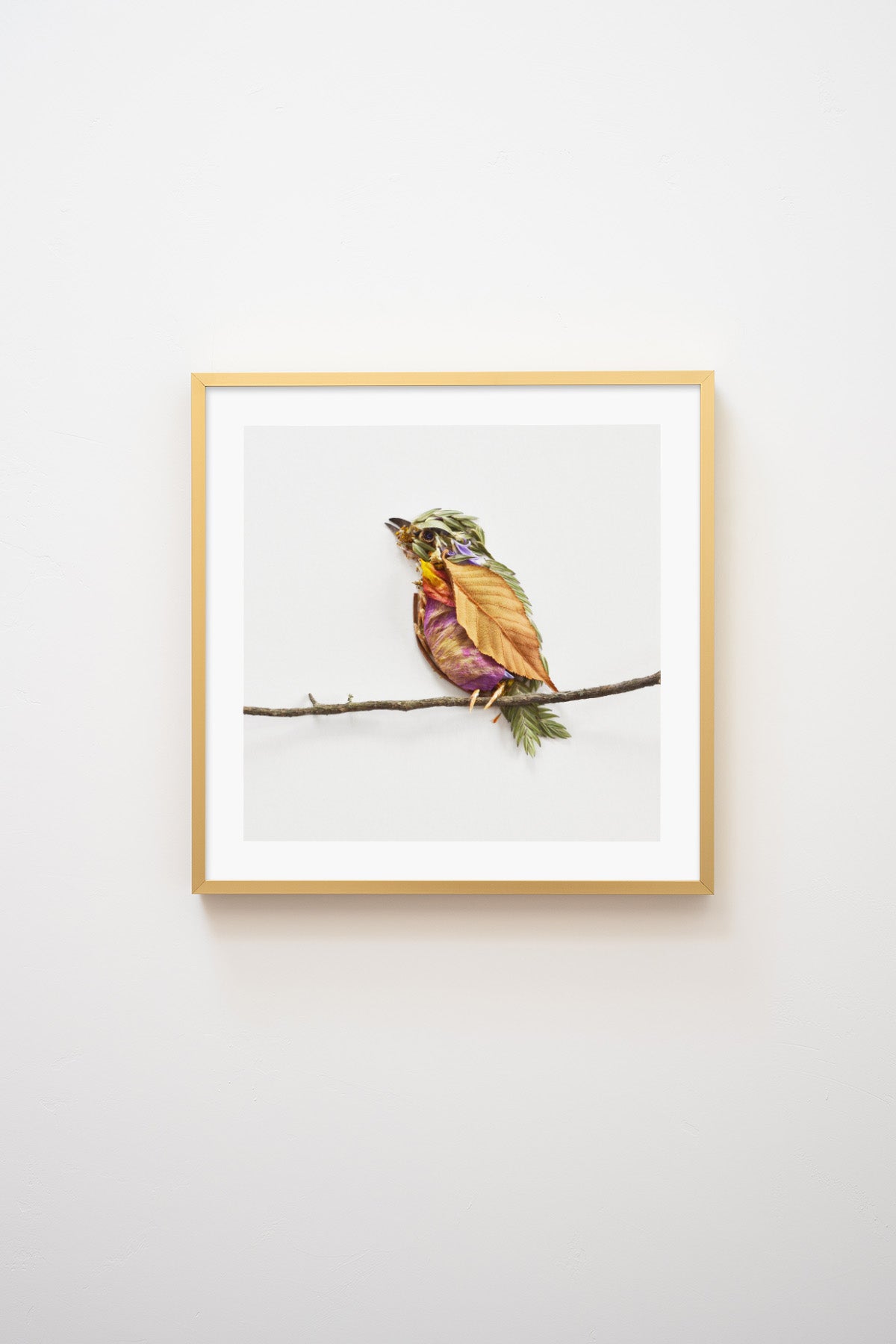 "Perched" Flower Print