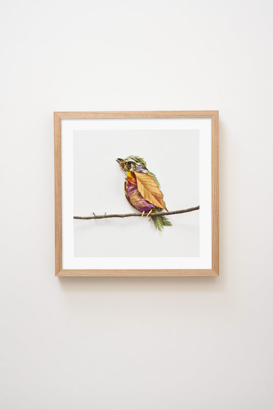 "Perched" Flower Print